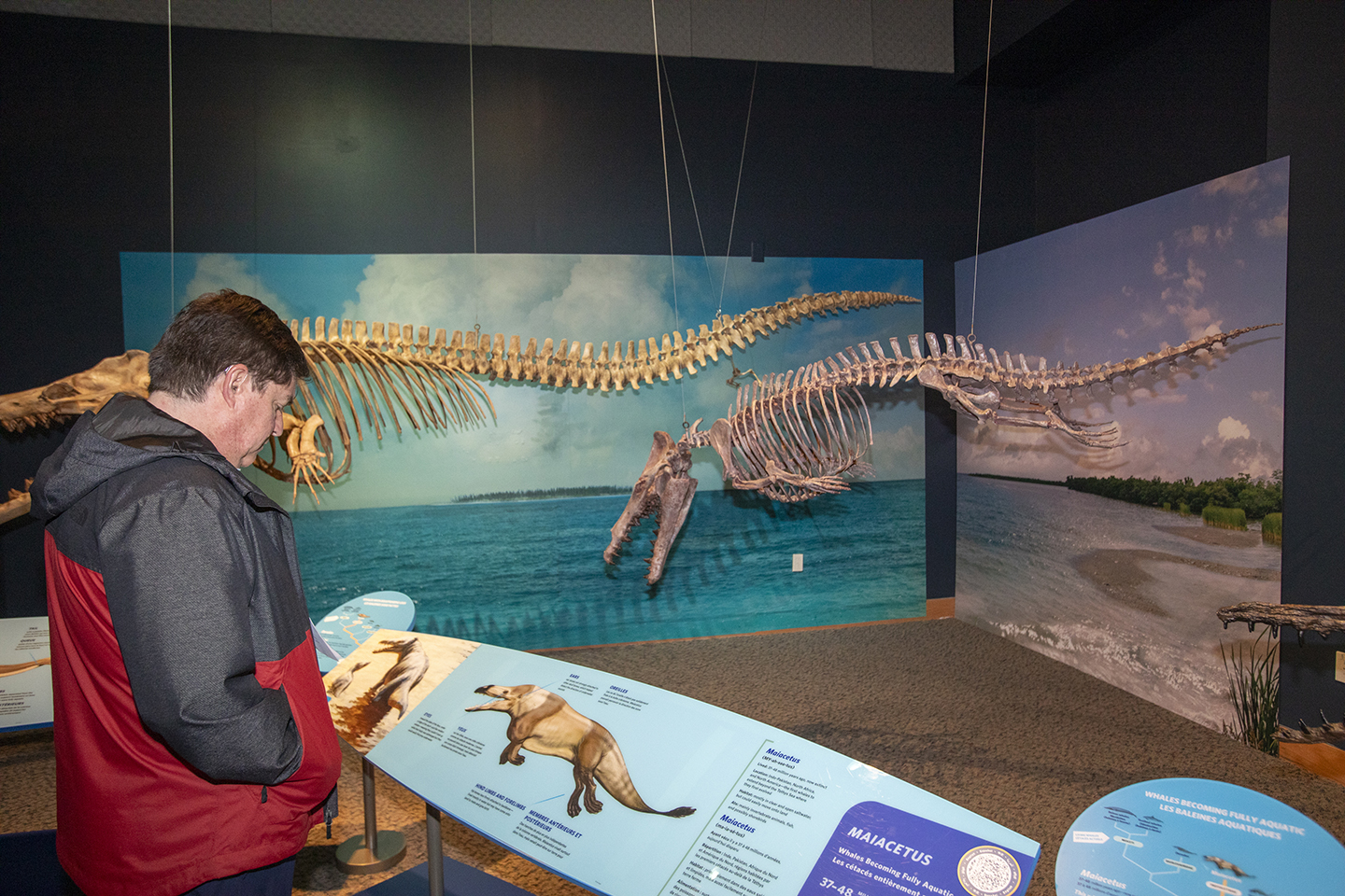 ABSA2025-Tuesday-Banquet-096