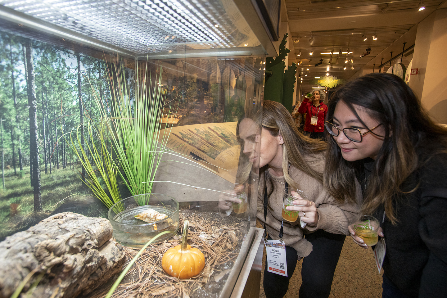 ABSA2025-Tuesday-Banquet-101