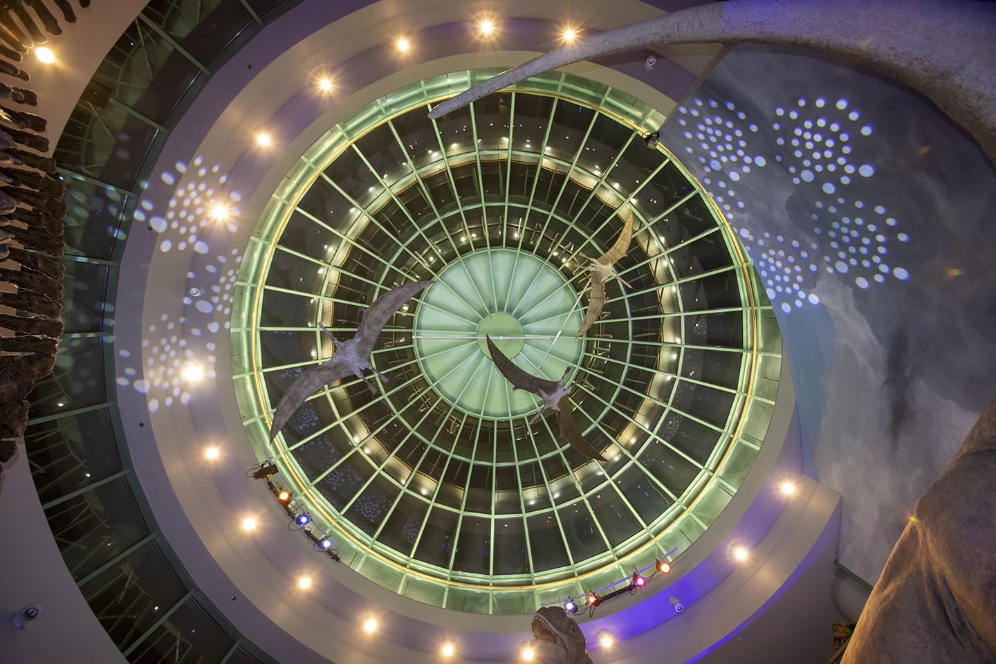 ABSA2025-Tuesday-Banquet-115